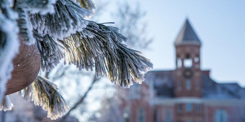 Frost covered campus