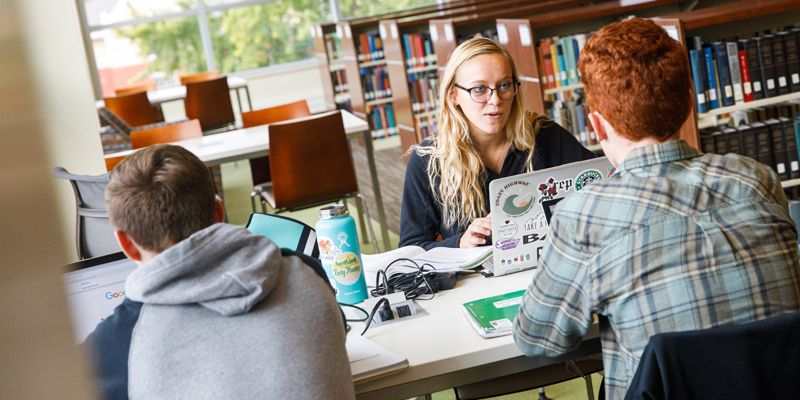 Students studying in the Learning Commons