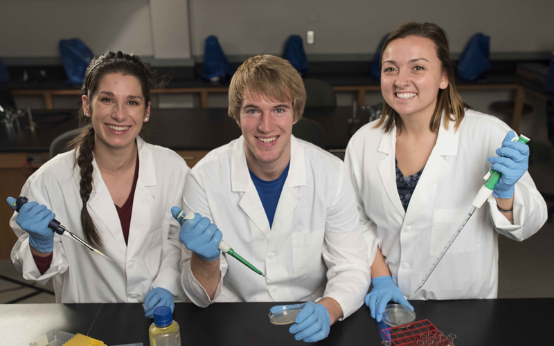 Students working in a biology lab