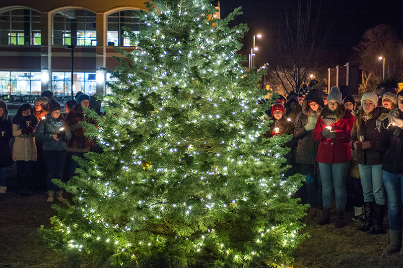 President's Christmas Tree Lighting