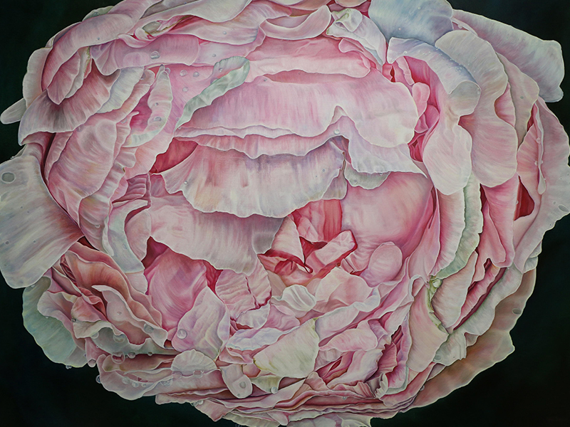 Floral artwork by April Benson will be on display in Northwestern College's Te Paske Gallery Oct. 19 through Dec. 10, 2022.